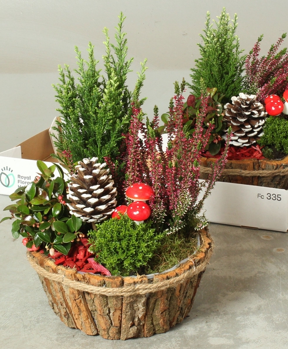 <h4>ARR TUINPLANTEN</h4>