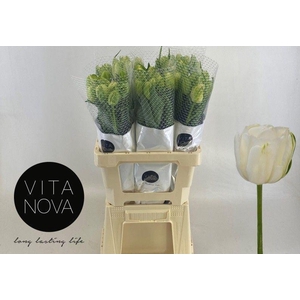 TU DU MAUREEN DOUBLE