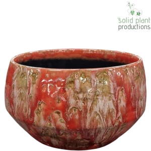 X C099 SOPHIA FESTIVAL PINK MINI