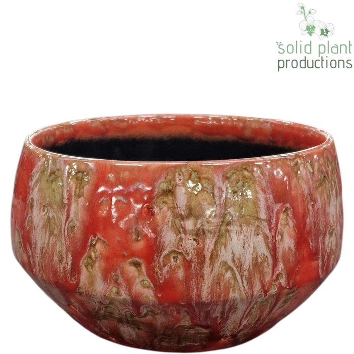 <h4>X C099 SOPHIA FESTIVAL PINK MINI</h4>