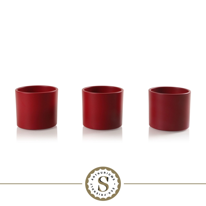 <h4>Creations) Keramiek Bari Red</h4>