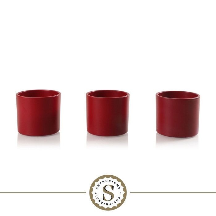 <h4>Creations) Keramiek Bari Red</h4>