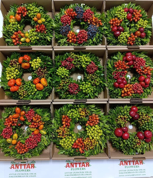 <h4>SIERFRUIT KRANS H%</h4>