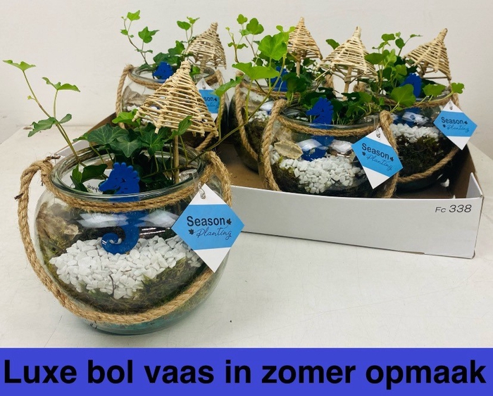 <h4>ARR KAMERPL</h4>