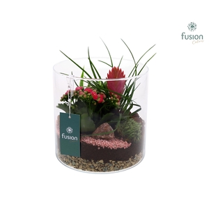 Glas Lucille met arrangement bloei