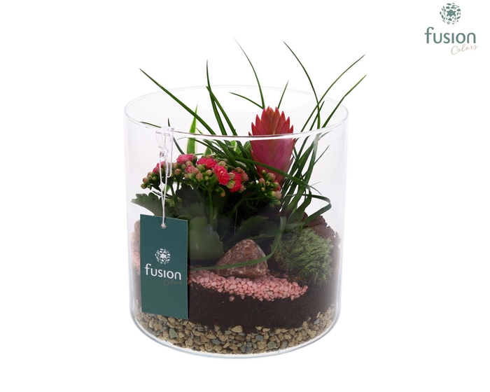 <h4>Glas Lucille met arrangement bloei</h4>