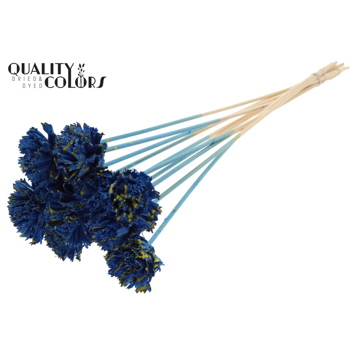 <h4>Shola Karnish Flower 6cm on stem Splashed Blue/Yellow</h4>
