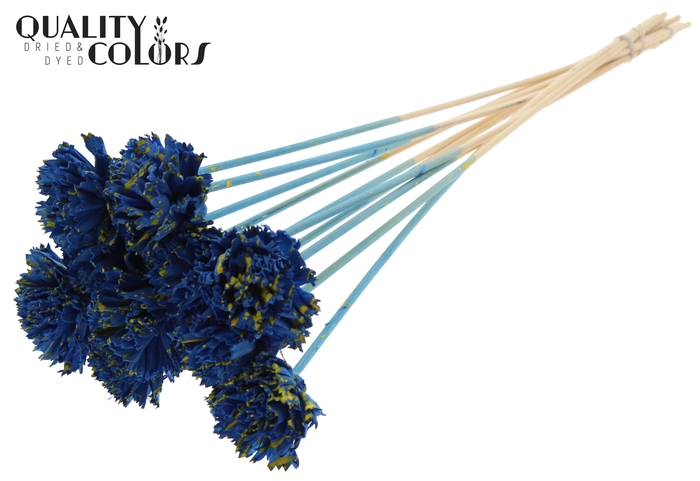 Shola Karnish Flower 6cm on stem Splashed Blue/Yellow