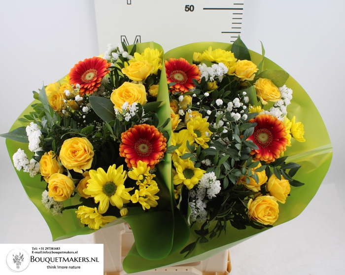 <h4>GEM BOEKET OV</h4>