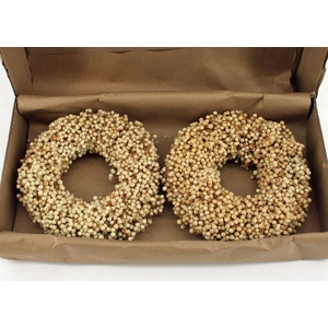 Wr Schinus Bleached 20cm X2