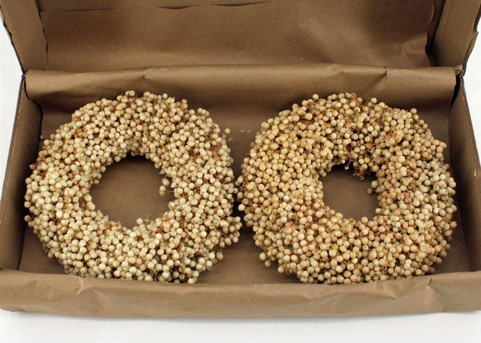 <h4>Wr Schinus Bleached 20cm X2</h4>