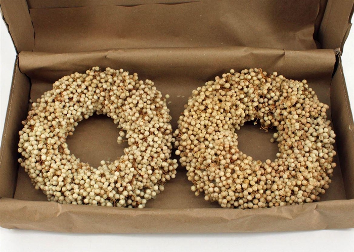 <h4>Wr Schinus Bleached 20cm X2</h4>