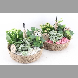 arr2 PL - Jute etagere 338/3 - roze/wit