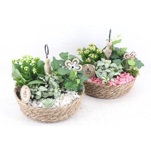 arr2 PL - Jute etagere 338/3 - roze/wit