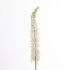 AF Eremurus L129cm White
