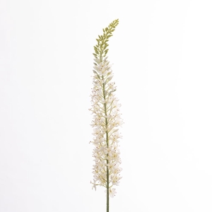 Af Eremurus L129cm White