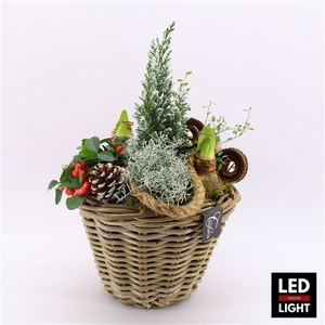 GACR-2427LED Gaultheria creatie