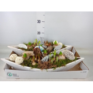 Arr.   Bol/Knolgewas L%