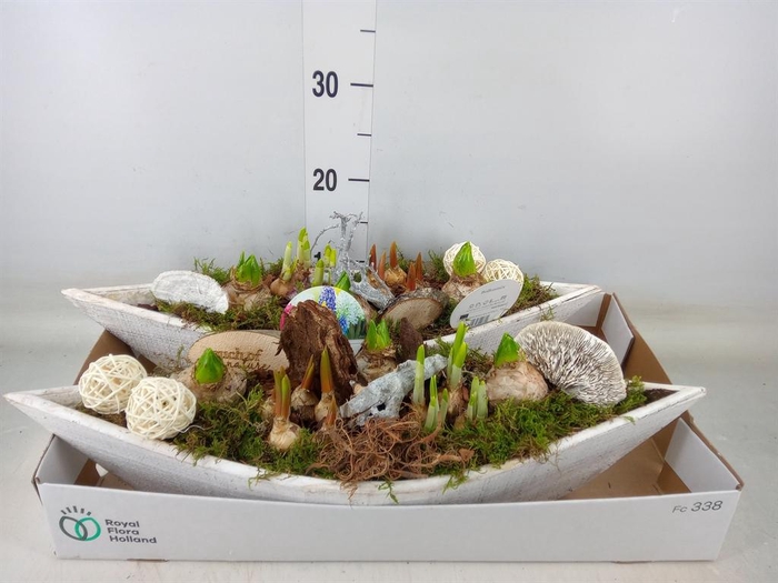 <h4>Arr. Bol/Knolgewas L%</h4>