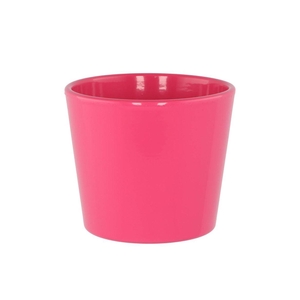 Ceramic Rose Shiny Pot 13cm Nm