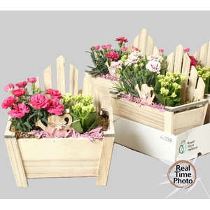 ARR TUINPLANTEN