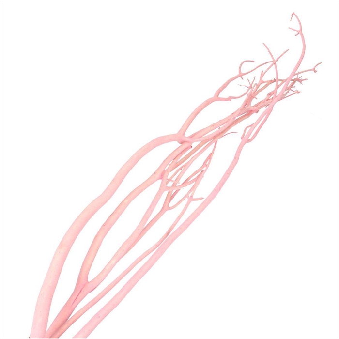 <h4>Dried articles Mitsumata flock 115cm x3</h4>