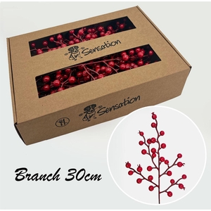 Zijde Berry Pick Spray 30cm Rood