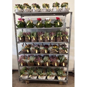 Mix CC Najaarsarrangementen