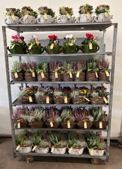 <h4>Mix CC Najaarsarrangementen</h4>