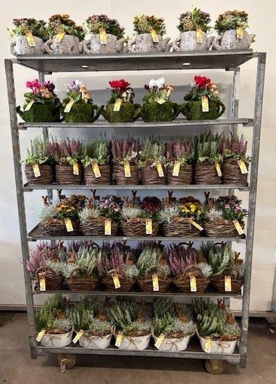 <h4>Mix CC Najaarsarrangementen</h4>