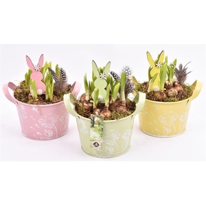 Zink schaal decor mix kl 15.5cm