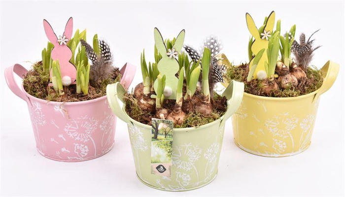 <h4>Zink schaal decor mix kl 15.5cm</h4>