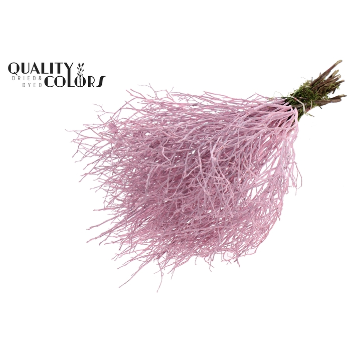 <h4>Huckelberry per bunch Light Pink</h4>