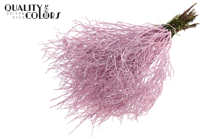 Huckelberry per bunch Light Pink