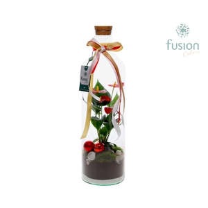 Green Bottle Fles Large Kerst met Anthurium