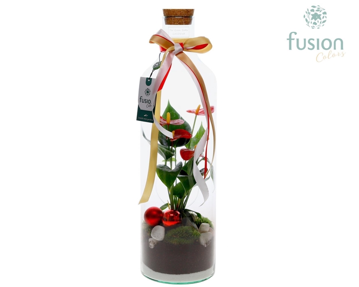 <h4>Green Bottle Fles Large Kerst met Anthurium</h4>