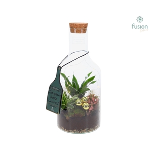 Green Bottle Fles Small Kerst met Arrangement