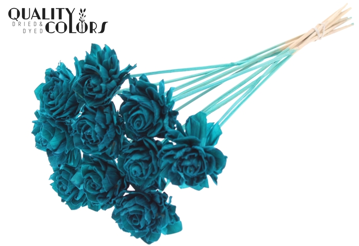 Shola Dahlia  6cm on stem Turquoise
