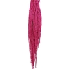 Preserved amaranthus paint cerise