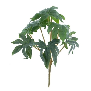 Fatsia japonica bush green 39cm