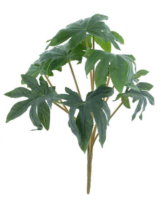 <h4>Fatsia japonica bush green 39cm</h4>