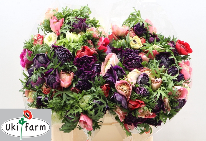 <h4>ANEM CO LEVAN MIX</h4>