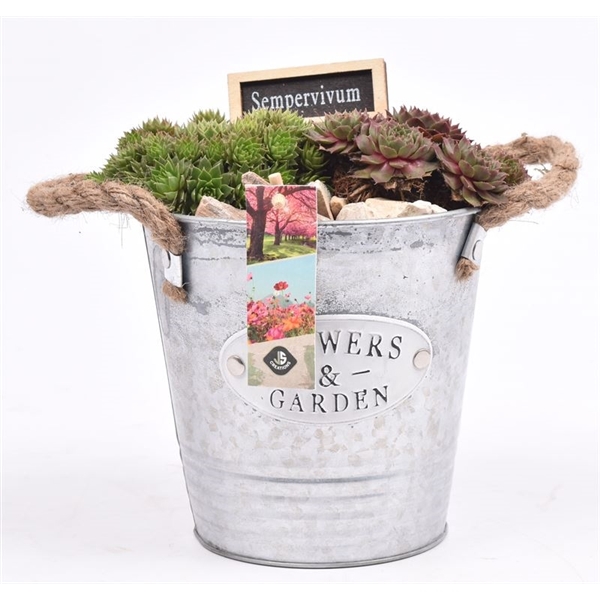 <h4>Zink emmer Flower & Garden 16 cm</h4>