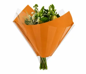 <h4>HOES KRAFT ELEG ORANJE</h4>
