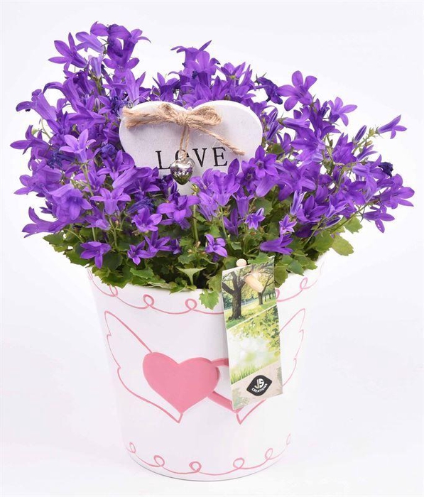 <h4>Keramiek ovaal met hartje 19.5x11CM</h4>