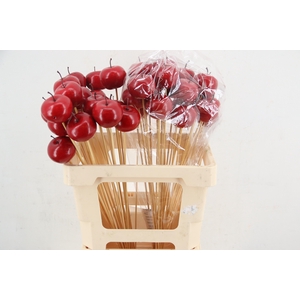 Stick Apple 5cm Red Satingloss