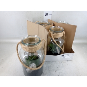 Arr.   Kamerplant Groen L%