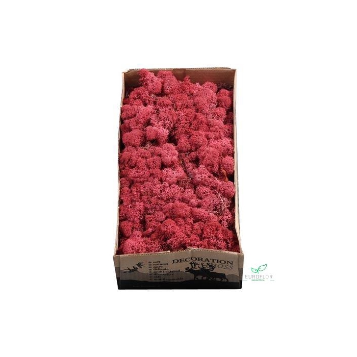 <h4>IJSLANDS MOS BORDEAUX 500GR</h4>