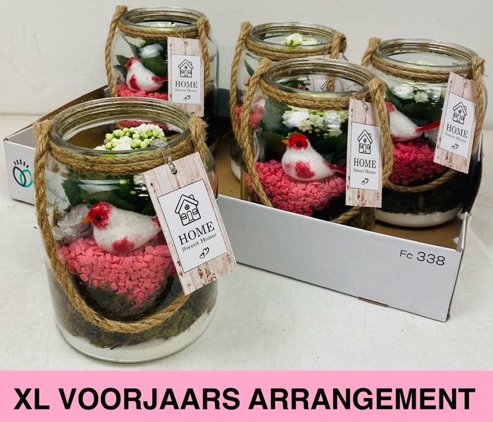 <h4>ARR KAMERPL</h4>