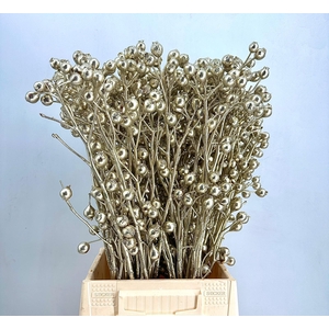 Rosa Hip Painted $Luxury Platinum H%*